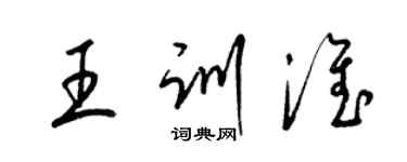 梁锦英王训淮草书个性签名怎么写