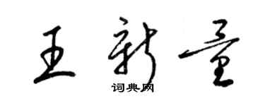 梁锦英王新量草书个性签名怎么写