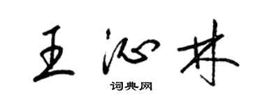 梁锦英王沁林草书个性签名怎么写
