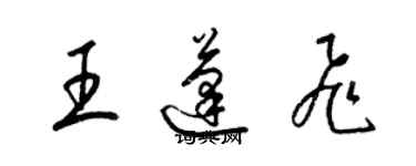 梁锦英王蓬飞草书个性签名怎么写