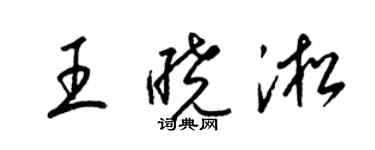 梁锦英王晓淞草书个性签名怎么写