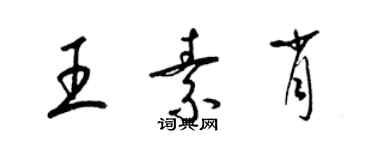 梁锦英王素肖草书个性签名怎么写