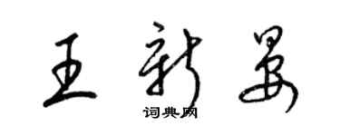 梁锦英王新晏草书个性签名怎么写