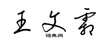 梁锦英王文霜草书个性签名怎么写