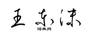 梁锦英王东沫草书个性签名怎么写
