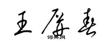 梁锦英王屏春草书个性签名怎么写