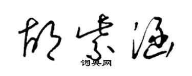 梁锦英胡紫涵草书个性签名怎么写