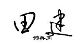 梁锦英田建草书个性签名怎么写