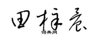梁锦英田梓晨草书个性签名怎么写