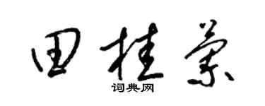 梁锦英田桂兰草书个性签名怎么写