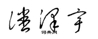 梁锦英潘泽宇草书个性签名怎么写