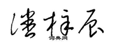 梁锦英潘梓辰草书个性签名怎么写