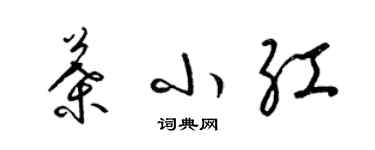 梁锦英叶小红草书个性签名怎么写