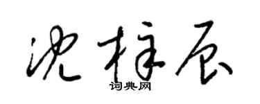 梁锦英沈梓辰草书个性签名怎么写