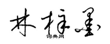 梁锦英林梓墨草书个性签名怎么写