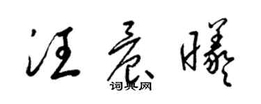 梁锦英汪晨曦草书个性签名怎么写