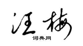 梁锦英汪梅草书个性签名怎么写