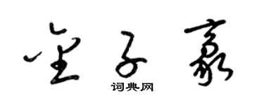 梁锦英金子豪草书个性签名怎么写