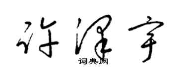 梁锦英许泽宇草书个性签名怎么写
