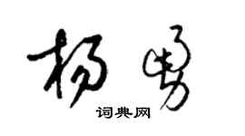 梁锦英杨勇草书个性签名怎么写