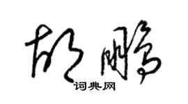 梁锦英胡鹏草书个性签名怎么写