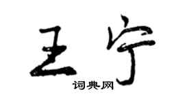 曾庆福王宁行书个性签名怎么写