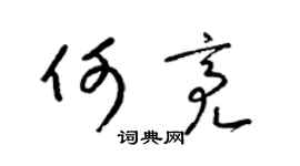 梁锦英何亮草书个性签名怎么写