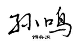 曾庆福孙鸣行书个性签名怎么写