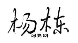 曾庆福杨栋行书个性签名怎么写