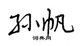 曾庆福孙帆行书个性签名怎么写