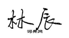 曾庆福林辰行书个性签名怎么写