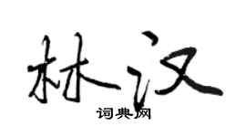 曾庆福林汉行书个性签名怎么写