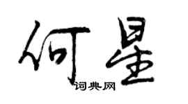 曾庆福何星行书个性签名怎么写