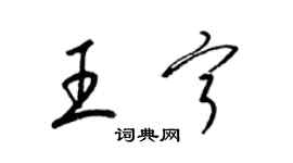 梁锦英王宁草书个性签名怎么写