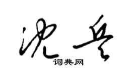 梁锦英沈兵草书个性签名怎么写