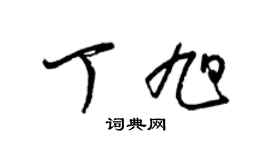 梁锦英丁旭草书个性签名怎么写