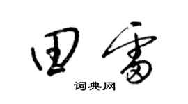 梁锦英田雷草书个性签名怎么写