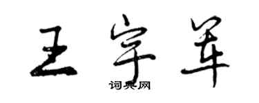 曾庆福王宇军行书个性签名怎么写