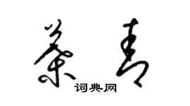 梁锦英叶青草书个性签名怎么写