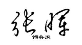 梁锦英张晖草书个性签名怎么写