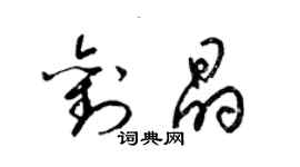 梁锦英刘晶草书个性签名怎么写