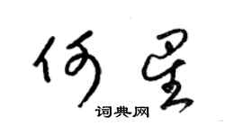 梁锦英何星草书个性签名怎么写