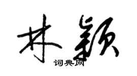 梁锦英林颖草书个性签名怎么写