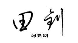 梁锦英田钊草书个性签名怎么写