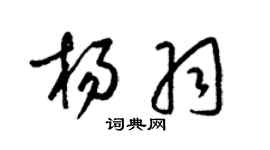 梁锦英杨羽草书个性签名怎么写