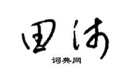 梁锦英田沛草书个性签名怎么写