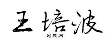 曾庆福王培波行书个性签名怎么写