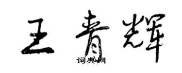 曾庆福王青辉行书个性签名怎么写