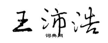 曾庆福王沛浩行书个性签名怎么写