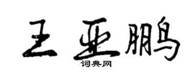 曾庆福王亚鹏行书个性签名怎么写